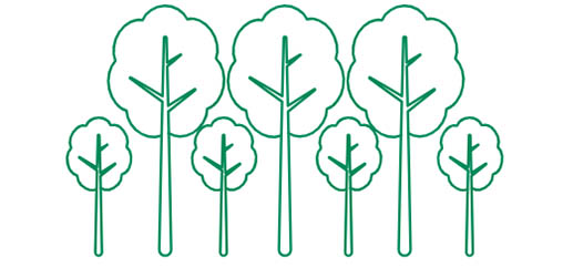 12. Kompensera ofrånkomliga utsläpp